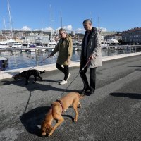 'Šetanje napuštenosti' Siniše Labrovića u Rijeci