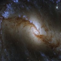 Pogled u duboki svemir (NGC 1365)