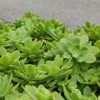 Xiaomi Mi 10T Pro 5G