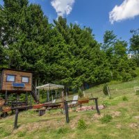 Tree House Gorski Lazi
