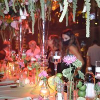 Maja Šuput promocija