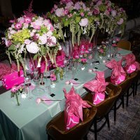 Maja Šuput promocija