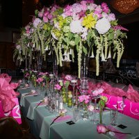 Maja Šuput promocija