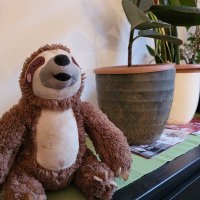 Samsung Galaxy S20 FE 5G primjeri fotografija