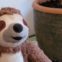 Samsung Galaxy S20 FE 5G primjeri fotografija