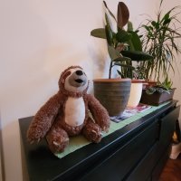 Samsung Galaxy S20 FE 5G primjeri fotografija