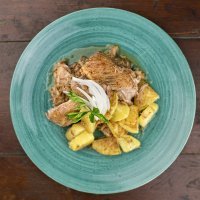 Bajo's gotova jela i umaci (pečenje plavi pijat)