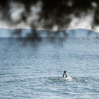 Kupanje u Zadru, 9.11.2020.