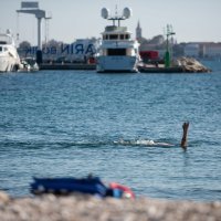 Kupanje u Zadru, 9.11.2020.