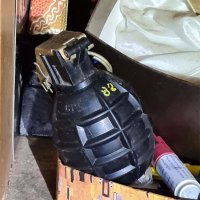 Muškarac uzgajao marihuanu u stanu u Puli