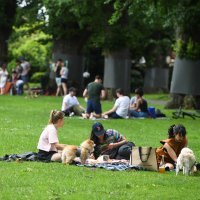 Koronavirus u Australiji