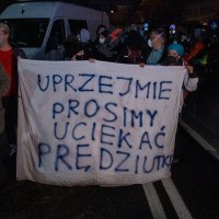 Prosvjed u Poljskoj