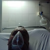 Izložba fotografija Darija Petkovića 'Otpusno pismo'