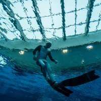 Najdublji bazen na svijetu