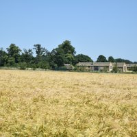 Planovi Beckhamovih na imanju