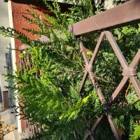 Motorola Moto G 5G Plus 5G primjeri fotografija