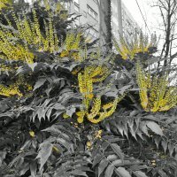 Motorola Moto G 5G Plus primjeri fotografija