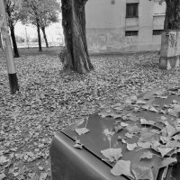 Motorola Moto G 5G Plus primjeri fotografija