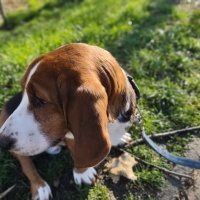 Motorola Moto G 5G Plus primjeri fotografija