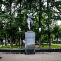 Kipe Eduarda Strelcova