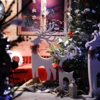 Zagrebački ZOO vrt okićen s nekoliko tisuća lampica