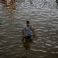 Posljedice ciklona Nivar