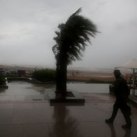 Posljedice ciklona Nivar