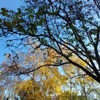 Nokia 3.4 primjeri fotografija