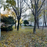 Nokia 3.4 primjeri fotografija