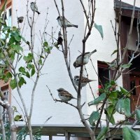 Nokia 3.4 primjeri fotografija