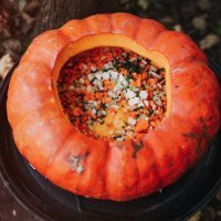 maXYama, ručak u šumi, jesen