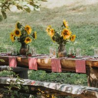 maXYama: Ručak u prirodi, ljeto