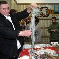 Tomislav Špiček
