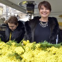 Karmela Vukov Colić