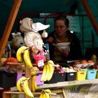 Koronavirus u Sloveniji