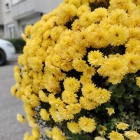 OnePlus Nord N10 5G primjer fotografija