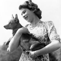 Kraljica Elizabeta II. sa psima