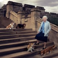 Kraljica Elizabeta II. sa psima