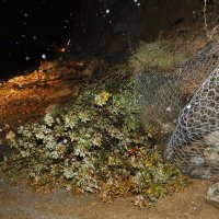Brojni odroni na makarskom području