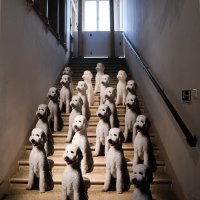 Izložbena instalacija vizualne umjetnice Pauline Jazvić