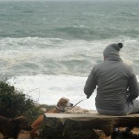 Rt Kamenjak, orkansko jugo