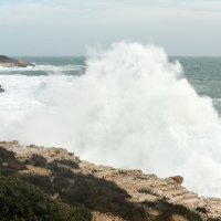 Rt Kamenjak, orkansko jugo
