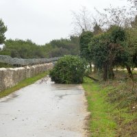 Pula: Nevrijeme uz kišu i jak vjetar čupalo stabla i poplavilo prometnice