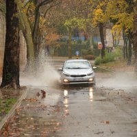 Pula: Nevrijeme uz kišu i jak vjetar čupalo stabla i poplavilo prometnice