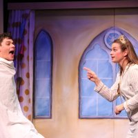 Princeza na zrnu graška