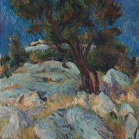 Maslina, Rogač na Šolti, Jerolim Miše