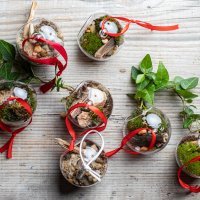 Ana Hrgovčić, biljke.plants