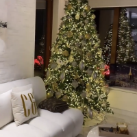 Stan Georgine Rodriguez i Cristiana Ronalda