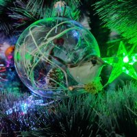 OnePlus 8T primjeri fotografija