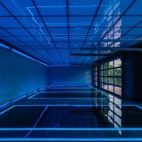 Dom repera The Weeknda